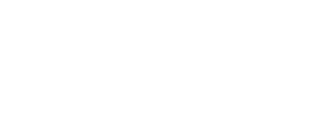 Misión Carismática al Mundo