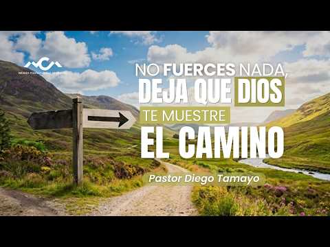 NO FUERCES NADA, DEJA QUE DIOS TE MUESTRE EL CAMINO